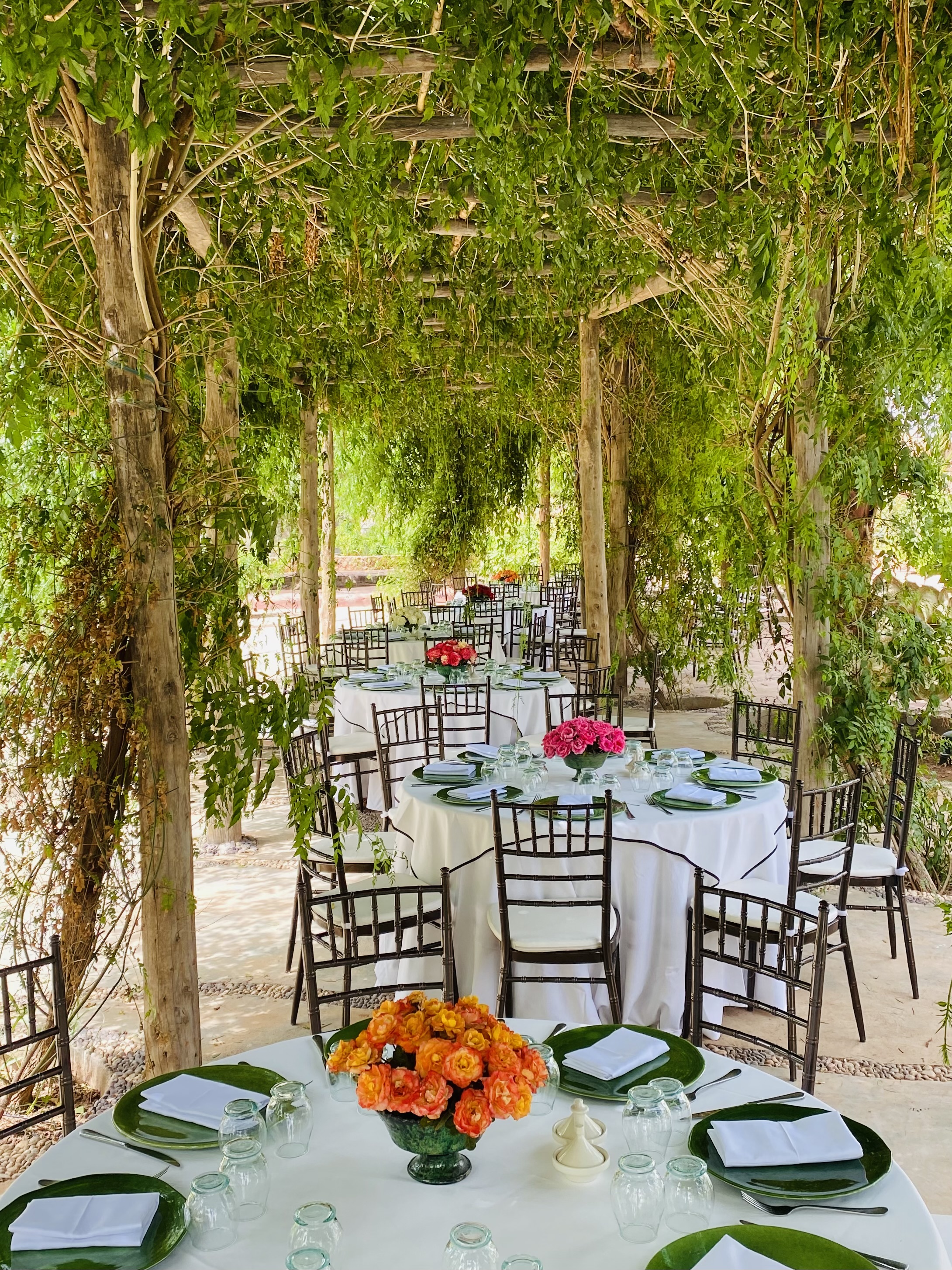 Tables set beneath a vine-covered pergola at Beldi Country Club